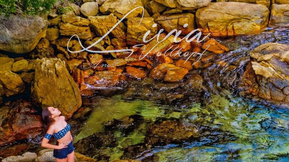 Book lívia Vollkopf